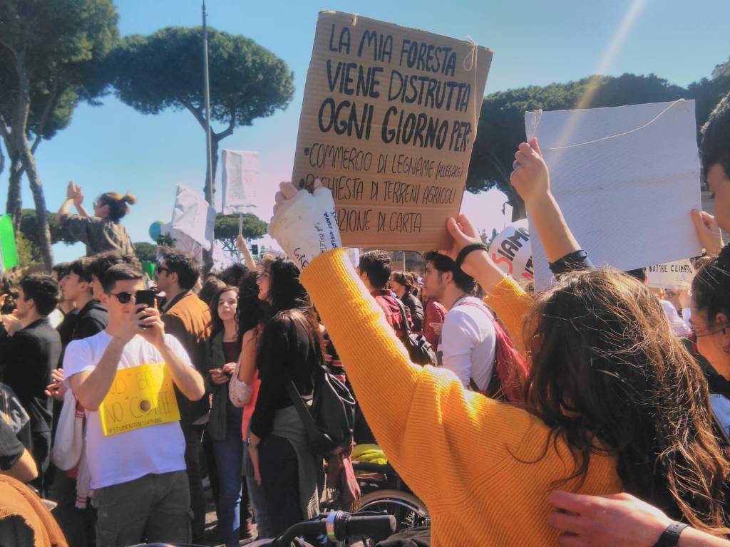 Movimenti (solo) ambientalisti. Uno sguardo critico sulla società&nbsp;contemporanea